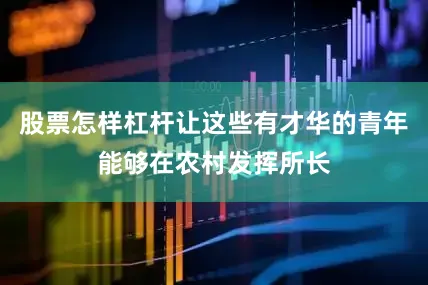 股票怎样杠杆让这些有才华的青年能够在农村发挥所长