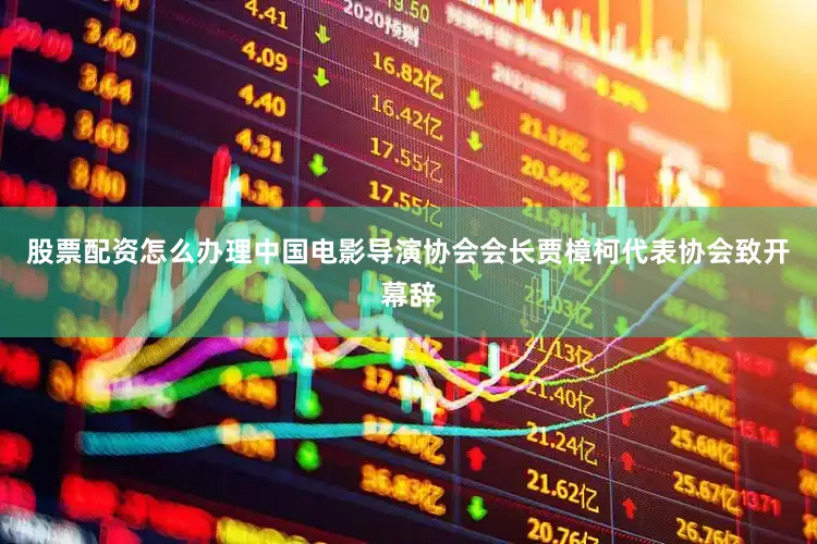股票配资怎么办理中国电影导演协会会长贾樟柯代表协会致开幕辞
